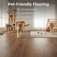 Plancher stratifié en bouleau massif finition mate anti-décoloration, dimensions 1210x190x14mm, pour extérieur, centre de séjour pour animaux, salle d'activités