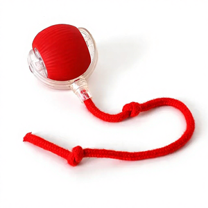 Palla Giocattolo per Gatti con Logo Personalizzato, Palla Rotolante per Gatti, Giocattolo in Peluche per Alleviare la Noia, Giocattolo Interattivo per Animali Domestici - Product Image 1