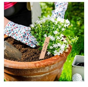 Étiquettes personnalisées en bois pour plantes, 100 pièces, pour herbes, fleurs, légumes, plantes décoratives, plantes en pot, marqueurs <span class=keywords><strong>de</strong></span> jardin - Product Image 4
