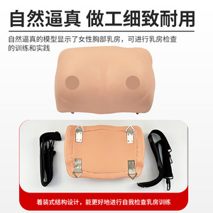 Modelo portátil para entrenamiento y examen de senos; práctica didáctica sobre patología mamaria femenina; modelo para autoexamen y cuidado. - Product Image 3