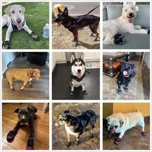 ZYZPET sepatu bot anjing antiair, sepatu olahraga kaki anjing luar ruangan antiselip tali reflektif dapat disesuaikan - Product Image 5