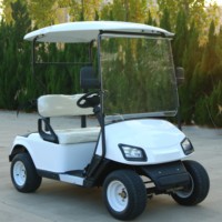 Tong Cai Meilleure voiturette de golf miniature de luxe 72V fabriquée en Chine tout-terrain 2 places avec pare-chocs en aluminium à propulsion électronique