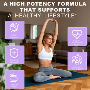 High Quality Turmeric Ginger Tablets with Black Pepper Extract <b>Supplement</b> Supports Joint Health Immune Support Herbal Tablets - Product Image 3