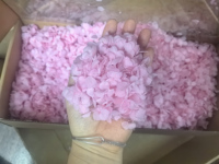 Pétales de fleurs séchées décoratifs, hortensia, rose, confettis écologiques, mariage et fête des mères, plusieurs couleurs, 20g