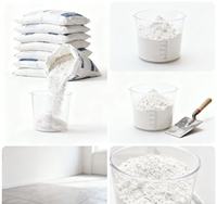 Ciment blanc haute blancheur, spécial pour les plafonds/murs de décoration intérieure, facile à appliquer et sans impuretés