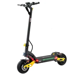 Oem Golden proveedor Scooter Eléctrico rueda grande 2400 vatios scooter para adultos plegable fácil de llevar