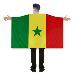 Флаг Сенегала на заказ, 3x5 футов, 100% полиэстер, двусторонняя печать, для болельщиков, для размахивания и поддержки - Product Image 4