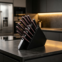 Ensemble de 14 couteaux de chef en acier inoxydable avec finition laser, manches forgés et support en bois