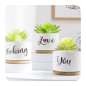 Conjunto de 3 Pequenas Plantas de Interior Branco Grama Cerâmica Passo Suculentas Pote Com Bambu Bandeja para Home Decor