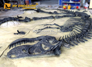 My Dino Kids - Panel de Excavación de Dinosaurios para Actividades al Aire Libre - Product Image 3