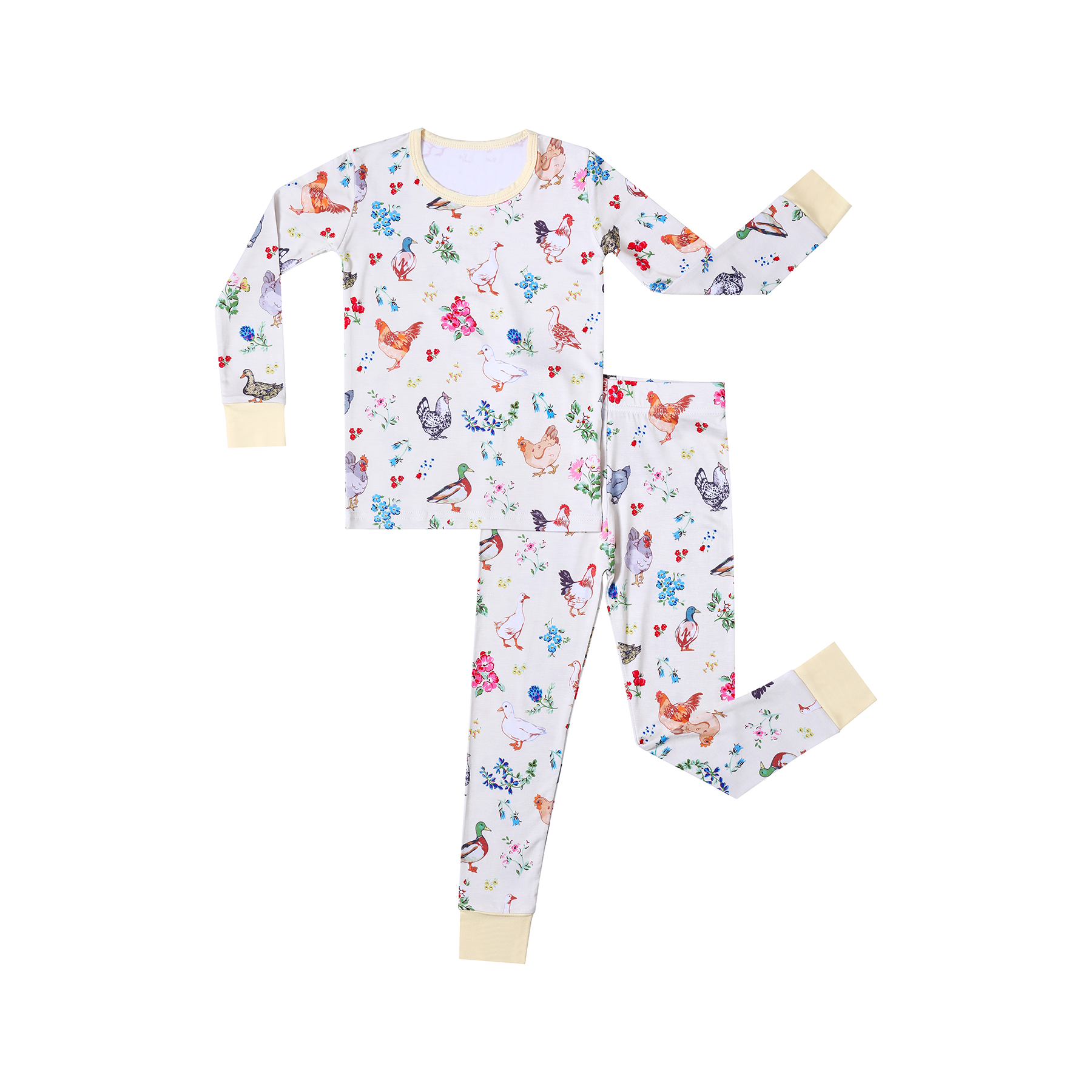 Chicken and duck print