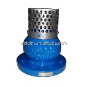 Vanne à pied robuste à <span class=keywords><strong>prix</strong></span> de gros avec filtre intégré, extrémité à bride, revêtement anti-corrosion, pour pompes - Product Image 1