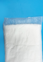 Adult Windel XL Deluxe Booster Pad (ohne Duft) Weiß auslaufs icher, geeignet für Frauen und Babys