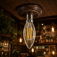 Ampoules LED à filament en verre transparent B35 à économie d'énergie, 2700K, indice d'indiceation des couleurs élevé, lampe LED en forme de bougie pour luminaires en cristal