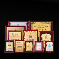Bois métal plaque haut de gamme médaille distribution franchisé marque autorisation lettre prix honneur plaque trophée, Usine en gros