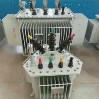 Transformateur de distribution triphasé immergé dans l'huile à structure d'isolation raisonnable, entrée 10,5 kV, bonne performance antidéflagrante