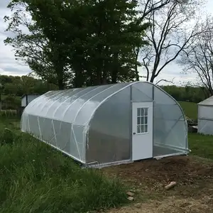 plastic tunnel greenhouse With PO PEP  Cover For Sale