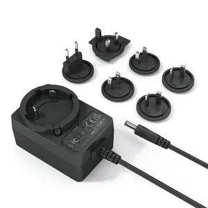Power Adaptor Travel Friendly Adaptor 27w 30w 36w 45w 48w 240 Volt 120 Volt Switching Power Adapter