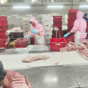 Carne de Cerdo Orgánica Congelada de Alta Calidad, Patas Delanteras y Traseras de Cerdo, Grado Corporal Estándar, 10 kg, Sin Mal Olor - Product Image 5