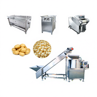 Wasmachine voor wortelgroenten 500-1000KG/H, wortelsnijmachine, aardappelblokjes snijmachine, aardappel schil- en polijstlijn