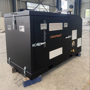 Hot Selling Hoge Kosteneffectieve 4y Motor Grid-Connected <span class=keywords><strong>Lpg</strong></span> Chp Gecombineerde Warmte Power <span class=keywords><strong>Generator</strong></span> 24/7 Continu Draaiende 220V - Product Image 1