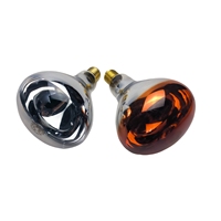 Bongbada haute efficacité IR R125 volaille lampe chauffante ampoule infrarouge lampe chauffante pour poussins de ferme Chine fabricant