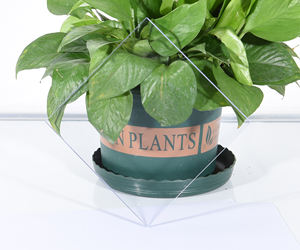 ポリカーボネートシート4x8高品質<span class=keywords><strong>6mm</strong></span>無地黒ポリカーボネート波シートカット付き - Product Image 3