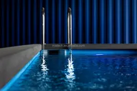 Conteneur rectangulaire en acier inoxydable durable pour piscine, aquarium de luxe, patio extérieur pour projets hôteliers et de complexes de villégiature - Garantie 10 ans