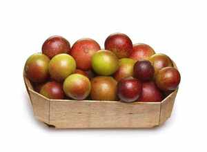 B.C.I Food Grade Cama <span class=keywords><strong>Camu</strong></span> Fruta Extrato Em Pó Myrciaria Dubia Extrato 10:1 - Product Image 2