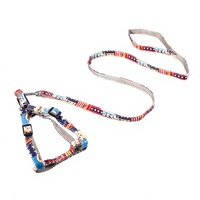 Ensemble laisse et harnais pour chat style bohème, réglable, en nylon imprimé, accessoire de promenade extérieur