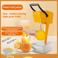 Commerciële RVS 304 Gemotoriseerde Automatische Sinaasappel- & Granaatappelpers 200W Verse Fruchtsapmachine voor Kleine Bedrijven