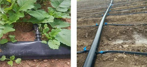 <span class=keywords><strong>Tuyau</strong></span> d'arrosage plat en PE de 63 <span class=keywords><strong>mm</strong></span> pour systèmes d'irrigation agricoles et de jardin, tube micro-pulvérisateur avec options de longueur de rouleau de 50 m/100 m/200 m - Product Image 5