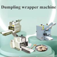 DAWNTECH Machine Commerciale Automatique en Acier Inoxydable pour la Fabrication de Raviolis, Dumplings et Wontons, avec Moteur, pour Petites Quantités de Viande et Aliments