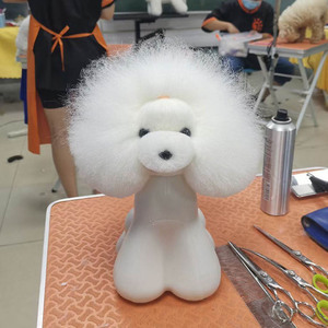 Cabeza de Maniquí Realista para Prácticas de Peluquería Canina, Modelo de Perro Teddy para <span class=keywords><strong>Corte</strong></span>, Peinado, Recorte, Entrenamiento, Enseñanza en Salón - Product Image 5