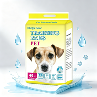 Tapis absorbants jetables pour animaux de compagnie, désodorisants, pour l'apprentissage de la propreté des chiens et des chiots, en non-tissé, avec SAP, emballage épais