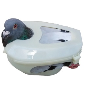 Eco-friendly Plastic Pigeon Supplies Pet <strong>Bird</strong> Medicine <strong>Feeding</strong> Vaccine Holder Observation Birdling <strong>Stand</strong> for Baby <strong>Birds</strong> Indoor - Product Image 5