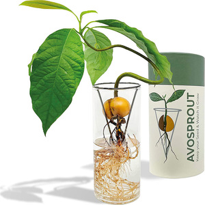 Noël Métal Déco Cadeaux Magasins Plante Support <span class=keywords><strong>Vase</strong></span> Améliore Pot De Fleurs <span class=keywords><strong>Vase</strong></span> De Table Amusant Pour Enfants <span class=keywords><strong>Avocat</strong></span> Verre Art - Product Image 1