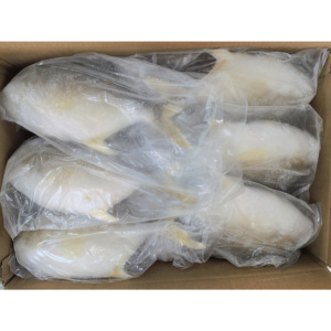 Nueva llegada Premium Golden Pompano Venta al por mayor Exportación Farm Criado Golden Pomfret Fish - Product Image 4