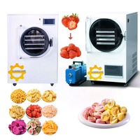Lyophilisateur de qualité supérieure pour aliments, machine de séchage par lyophilisation, prix pour la maison avec pompe à vide sans huile, en stock aux États-Unis