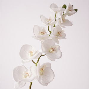 RK212 Orquídeas Artificiales al por Mayor, Phalaenopsis <span class=keywords><strong>Dendrobium</strong></span>, Orquídea Mariposa de Látex, 10 Cabezas, Flores de Orquídea Artificiales de Tacto Real - Product Image 1