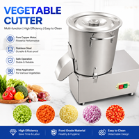 Commerciële automatische restaurantmixer, multifunctioneel, van roestvrij staal, voor fruit, groenten, vlees en voedsel; snijder, snijmachine, hakselaar