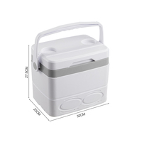 8L Pique-nique BBQ EPS Mousse Petite Glacière Glacière Portable en Plastique avec Serrure