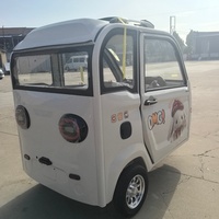 Triciclo Eléctrico de 800W para Personas Mayores, 3 Pasajeros, Mini Vehículo Eléctrico de Baja Velocidad para Viajes Diarios en Zonas Rurales y Transporte de Compras