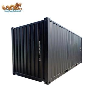 Container Marittimo Nuovo di Zecca per Trasporto Marittimo, Lunghezza 20 Piedi, Container per Carico Secco da 20ft in Vendita - Product Image 3