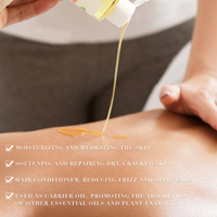 Huile de massage corporelle naturelle multi-usages à base de plantes (argan/avocat/coco/ricin/jojoba) pour la peau