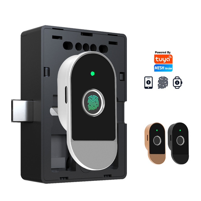 Fingerprint Tuya APP Control Aluminum Alloy Cloud Smart Cabinet Lock Biometric Keyless Entry Remote Access for Home Office