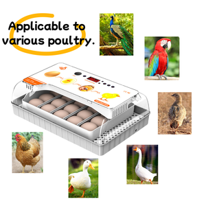 Cho HHD 20-công suất trứng tự động gà lồng ấp cho chim nhỏ điều kiện mới gia cầm nở lồng ấp cho ngỗng nở - Product Image 6