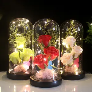 Light Up Rose Flowers Glass Rose In a Glass Dome Women Gifts for Valentine's Mother's Day Birthday Artificial Flower Rose Gift