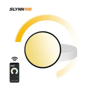 New Trend Smart APP Alexa Google Home Voice Remote Lamp,WIFI Smart Home Lights LED Ceiling Light Dimmable Light Panel
