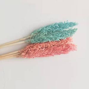 El mundo <span class=keywords><strong>de</strong></span> <span class=keywords><strong>las</strong></span> flores <span class=keywords><strong>de</strong></span> sorgo secas más vendidas para boda/<span class=keywords><strong>casa</strong></span>/decoración del hogar arreglo floral - Product Image 3